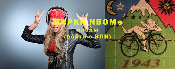 прущие грибы Братск