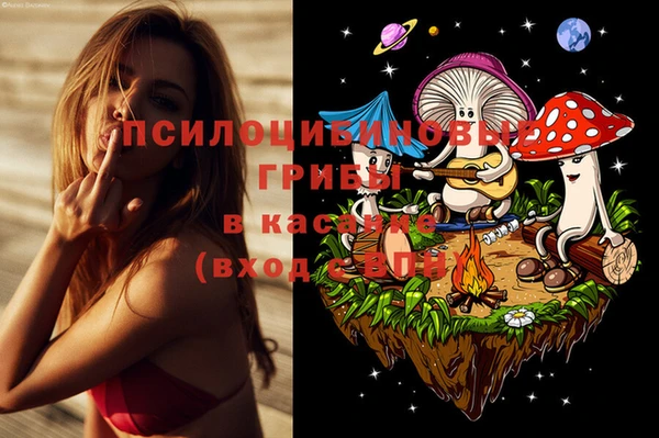 стаф Михайловск