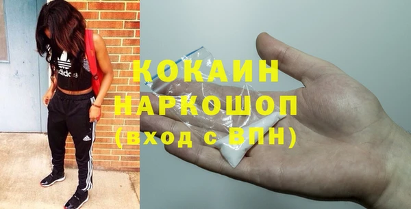 стаф Михайловск