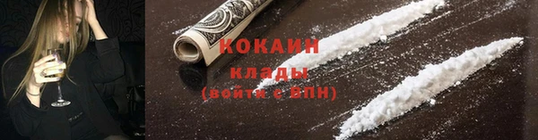 ПСИЛОЦИБИНОВЫЕ ГРИБЫ Михайлов