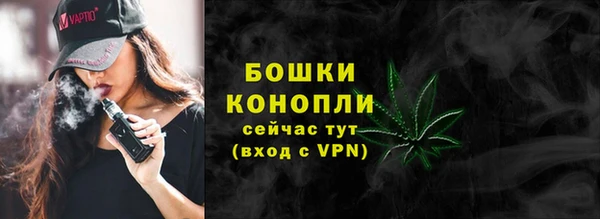 ПСИЛОЦИБИНОВЫЕ ГРИБЫ Михайлов