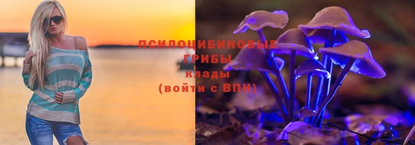 ПСИЛОЦИБИНОВЫЕ ГРИБЫ Михайлов