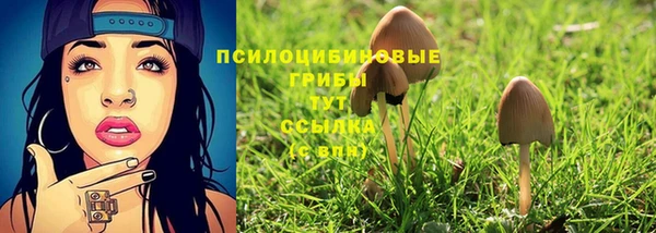 ПСИЛОЦИБИНОВЫЕ ГРИБЫ Михайлов
