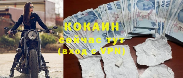 ПСИЛОЦИБИНОВЫЕ ГРИБЫ Михайлов