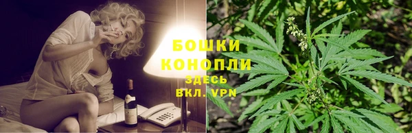 стаф Михайловск