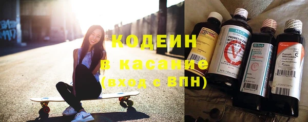 ПСИЛОЦИБИНОВЫЕ ГРИБЫ Михайлов