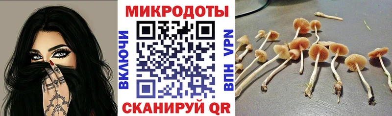 Псилоцибиновые грибы мухоморы  наркота  Шали 